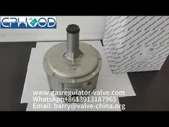 FGDR32/50 Modell Aluminium Gasdruckregler mit eingebautem Filter, Italien, hergestellt von Giuliani Anello