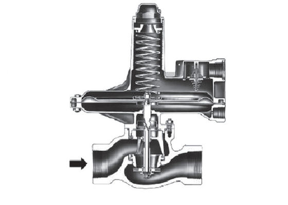 Duktile Reihen Eisen Fisher 133L verweisen bearbeiteten Gas-druckreduzierenden Regler
